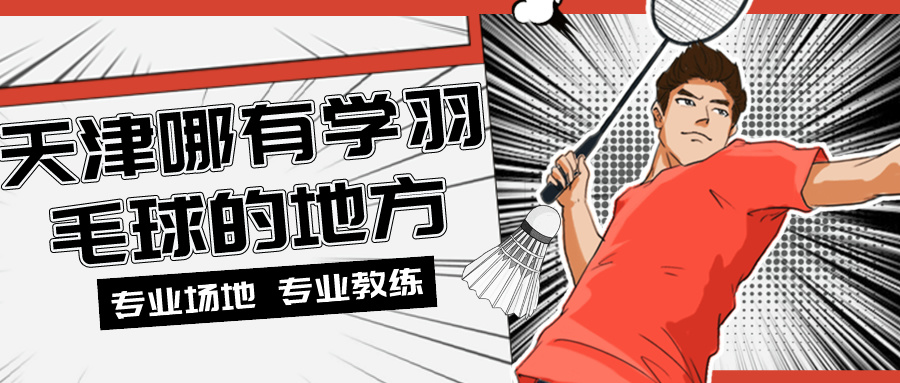 2024年天津哪有学羽毛球的地方|专业场地 专业教练(图1)