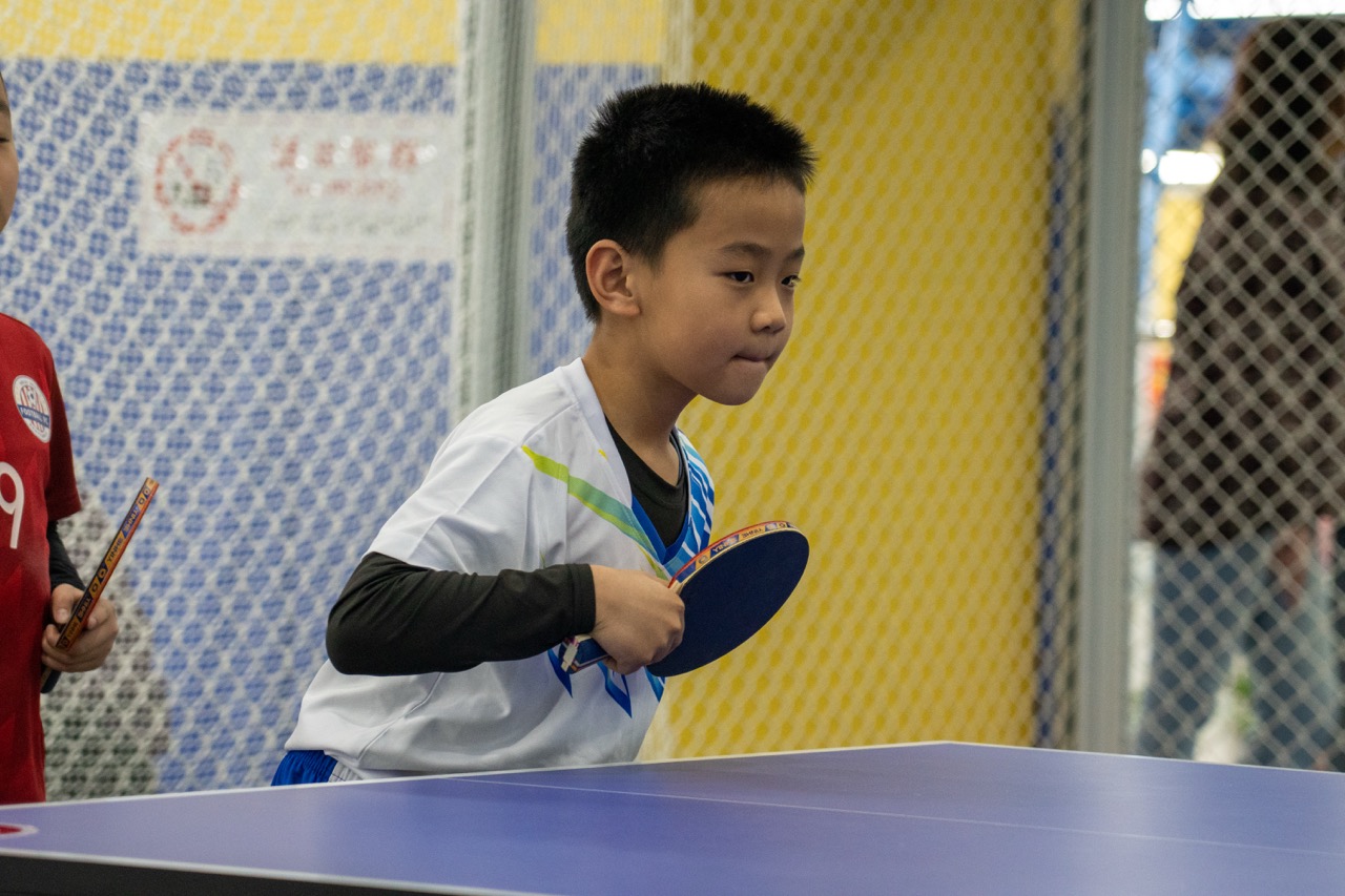 少儿乒乓球 运动启蒙课程(图4) 少儿乒乓球 运动启蒙课程(图4)